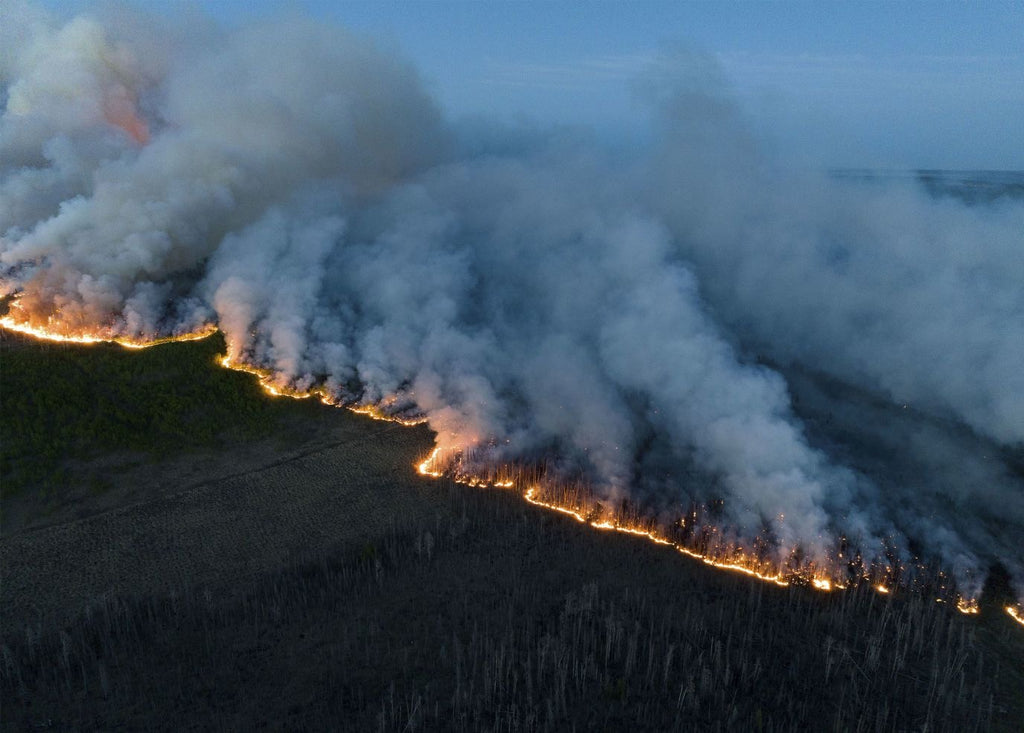 Wildfire Preparedness: Everything You Need to Know
